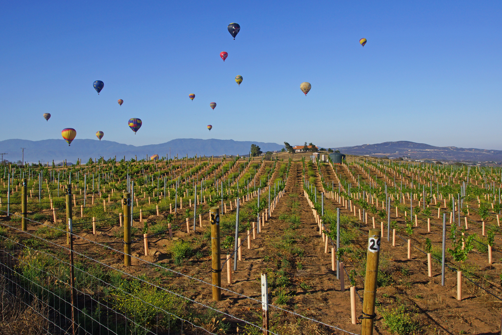 Temecula AIrbnb