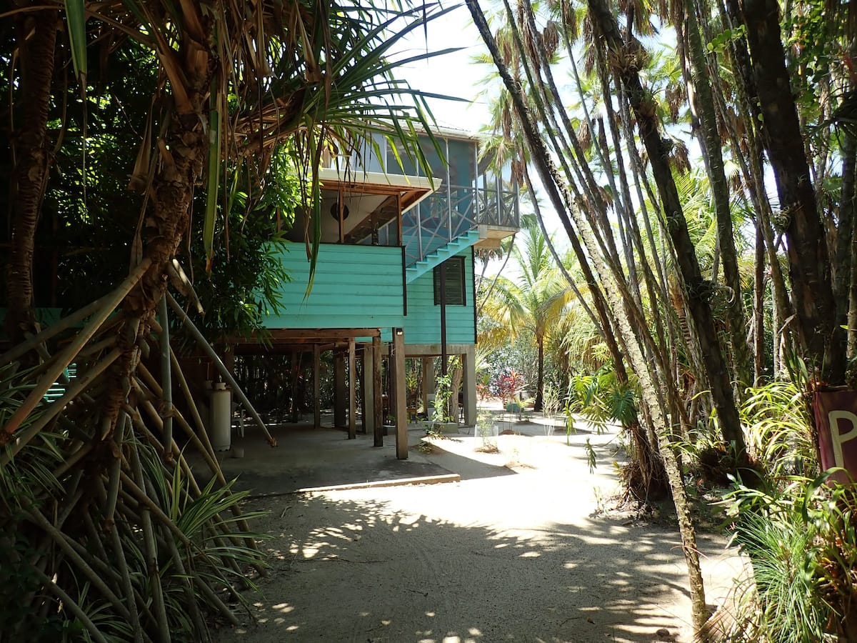 Treehouse Airbnb Belize