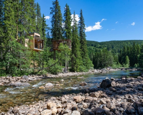 Norway Treehouse Airbnb