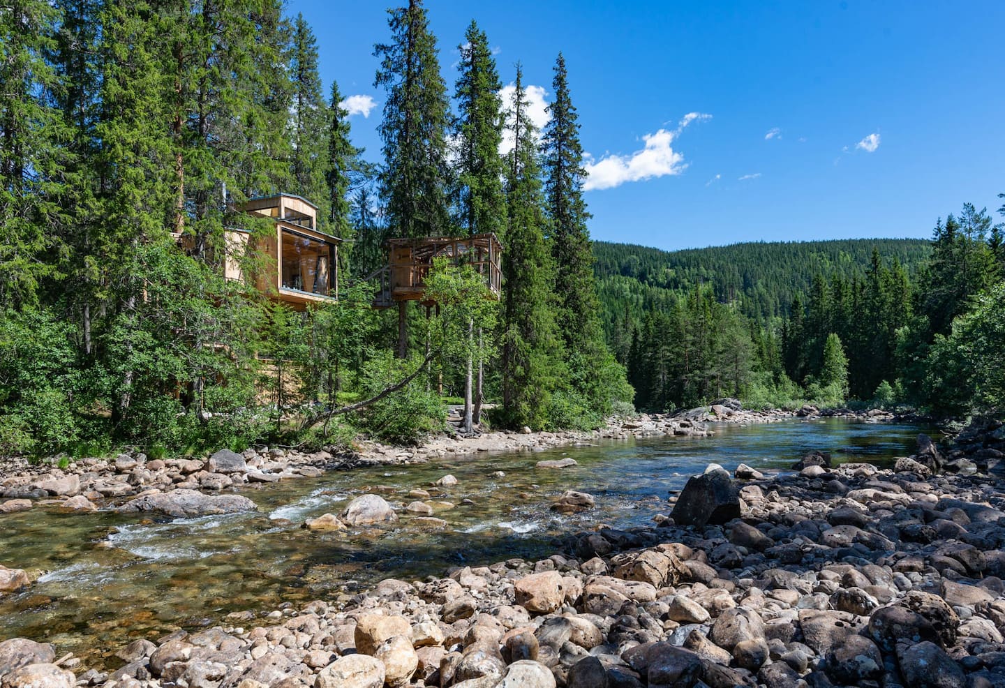 Norway Treehouse Airbnb