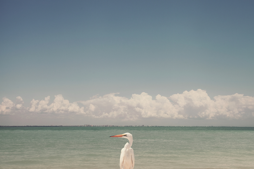 Romantic Sanibel Island Airbnb