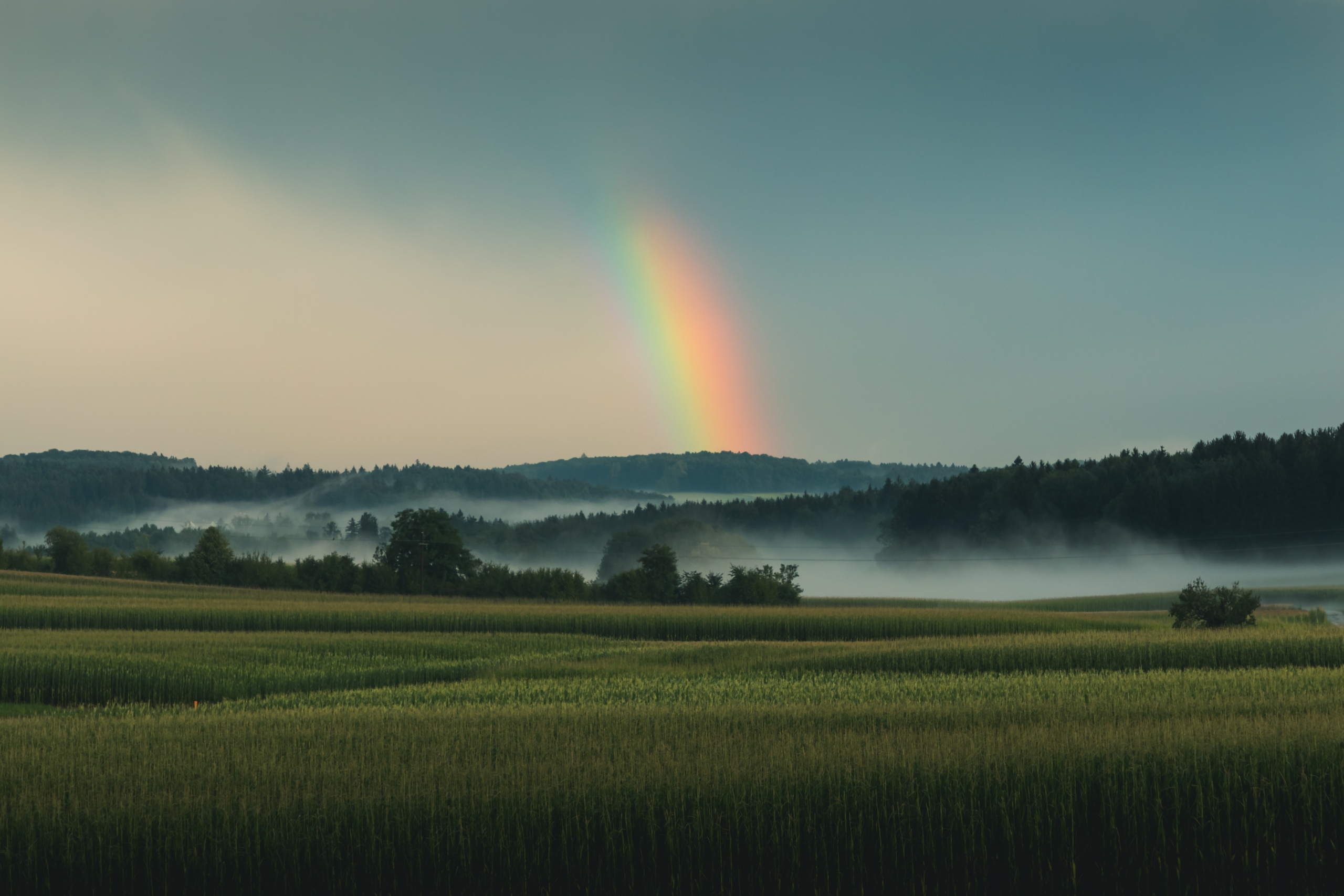 pix Beautiful Rainbow Images With Quotes the 70 best rainbow quotes for magic