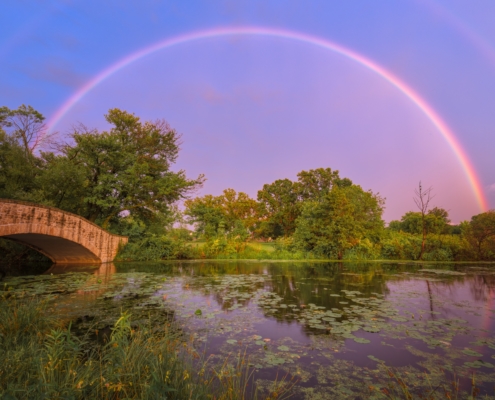 Best Quotes About Rainbows