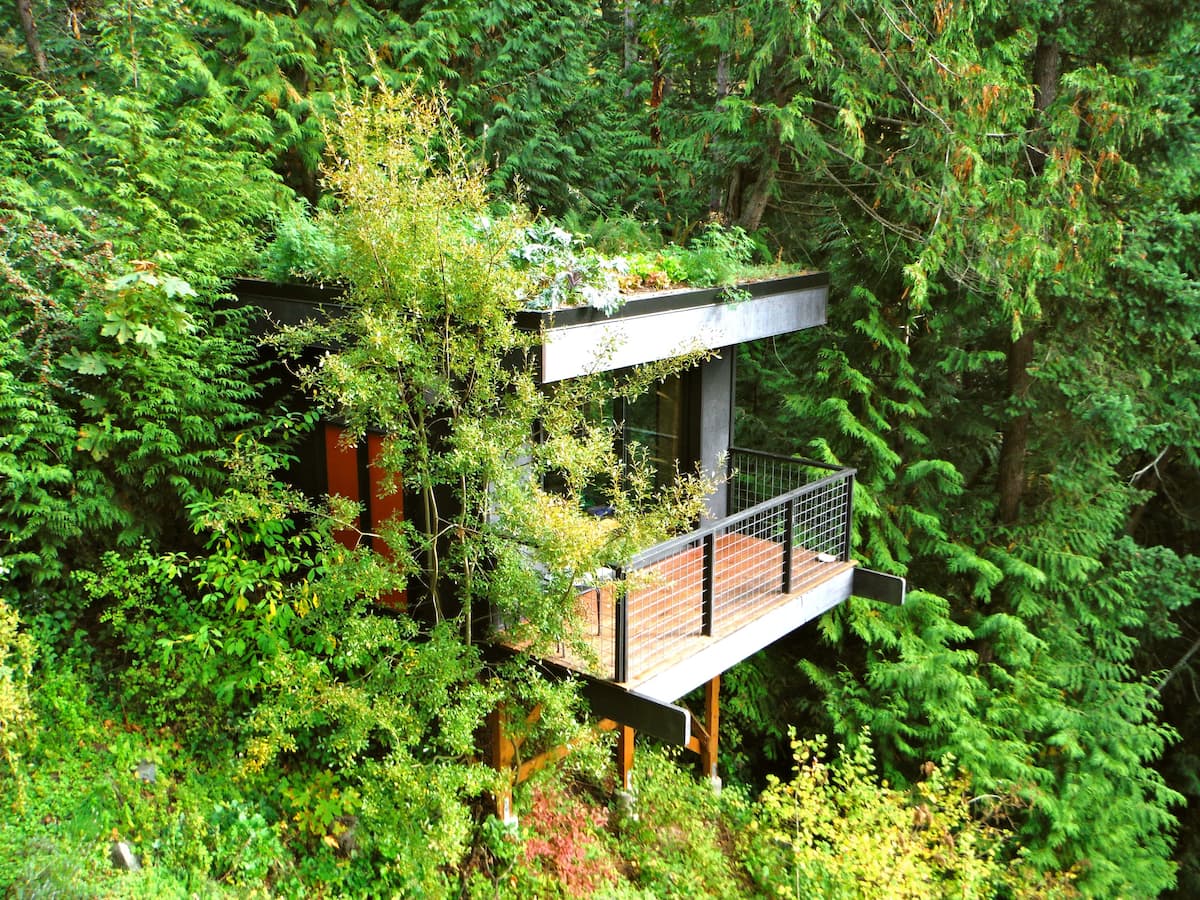 Pleasant Bay Lookout Treehouse Washington