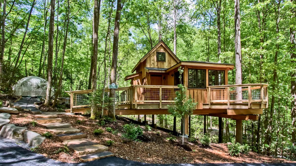 The Maple in Treehouse Grove at Norton Creek