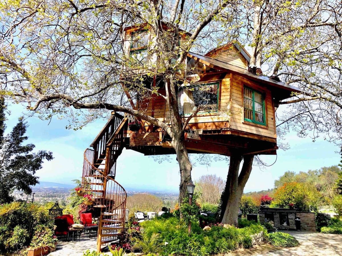 Treehouse , San Jose