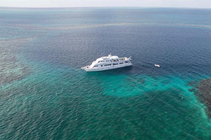 best caribbean liveaboard diving belize