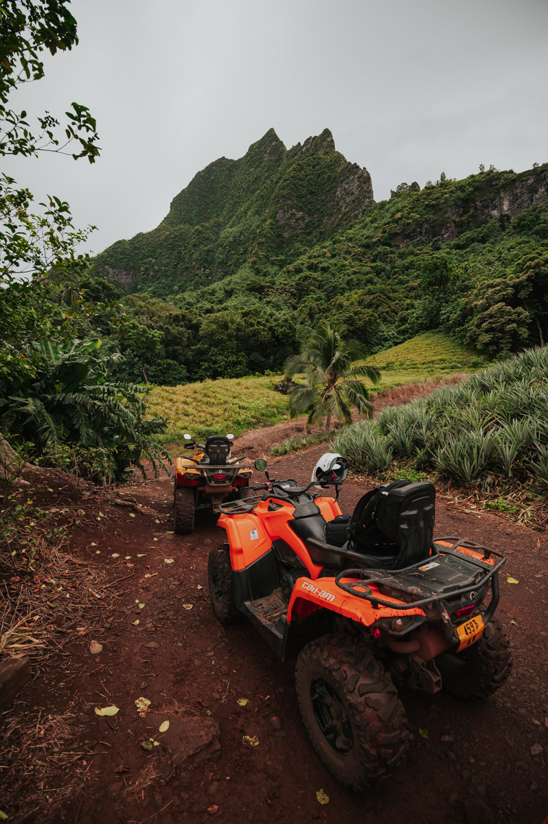 Moorea ATV Tour