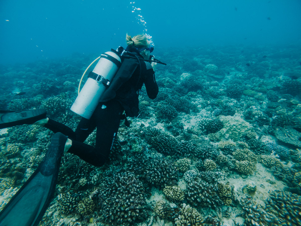 Moorea Scuba Diving