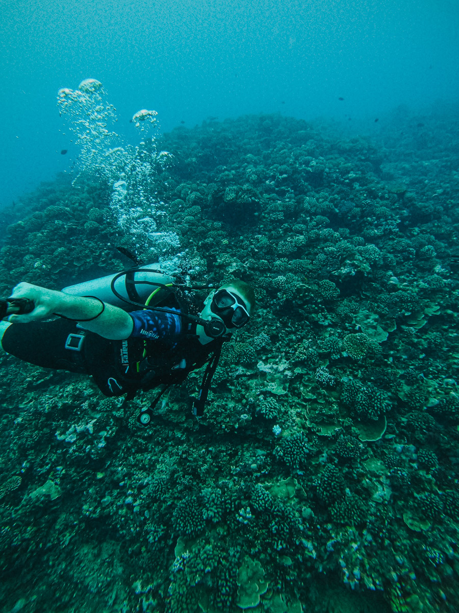 Moorea Scuba Diving