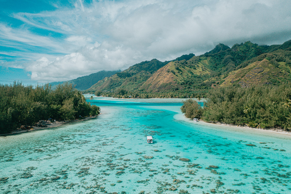 Moorea Snorkeling Tour Things To Do