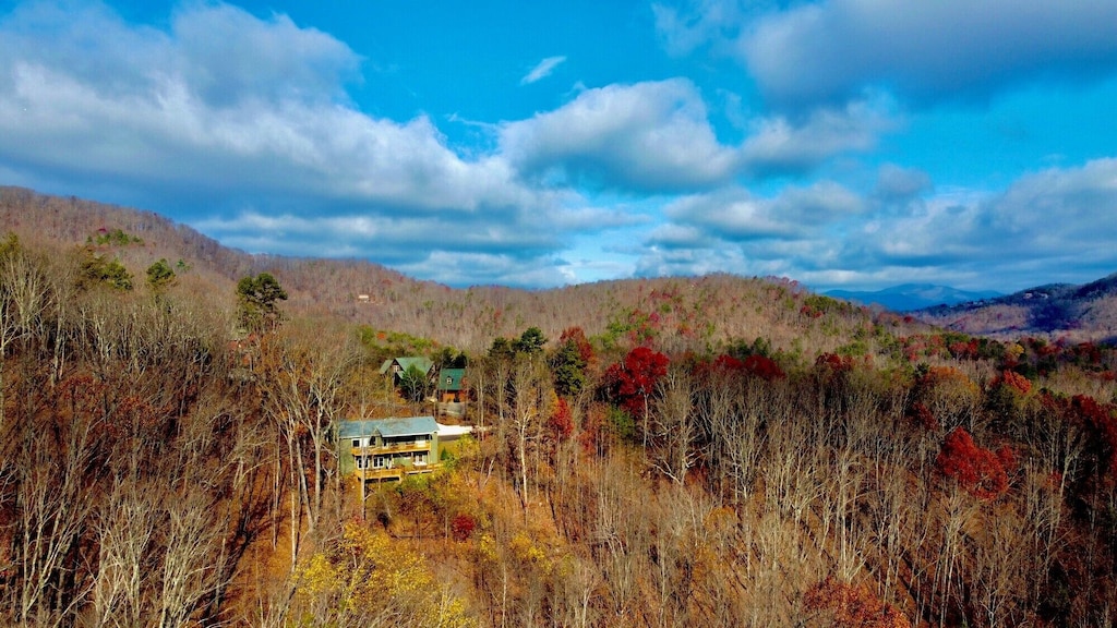 Secluded Luxury Cabin Rental in Georgia