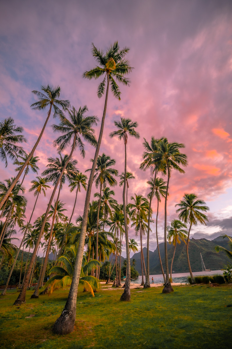 Sunset at the Public Beach Ta'ahiamanu Moorea 