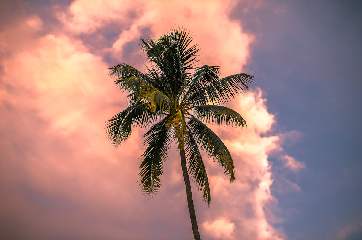 Sunset at the Public Beach Ta'ahiamanu Moorea 