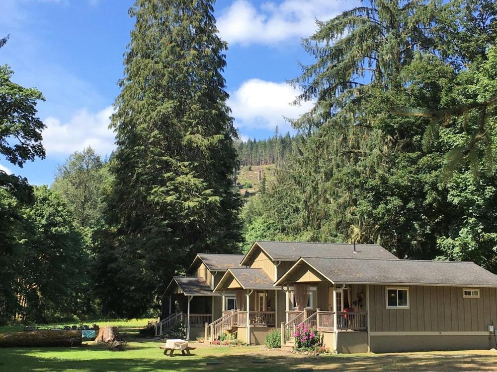 Secluded Cabins in Washington State river view near beaver creek