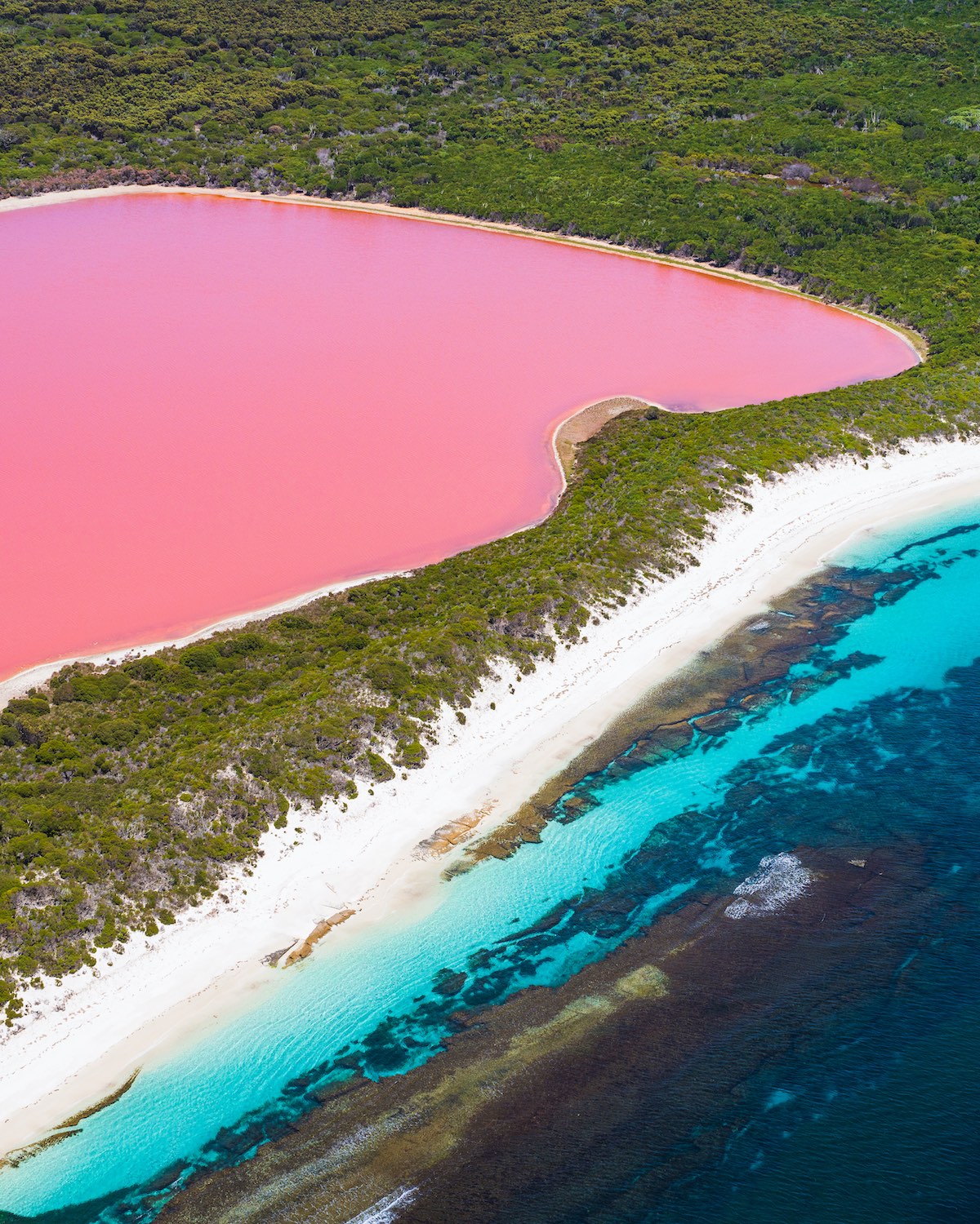 Lake Hillier, Esperance. A unforgettable pink lake next to a beach on an island.