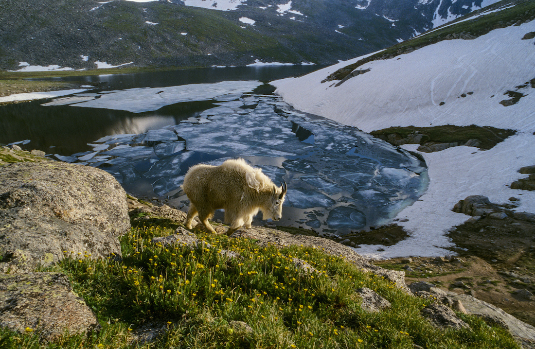 Mount Evans Scenic Byway