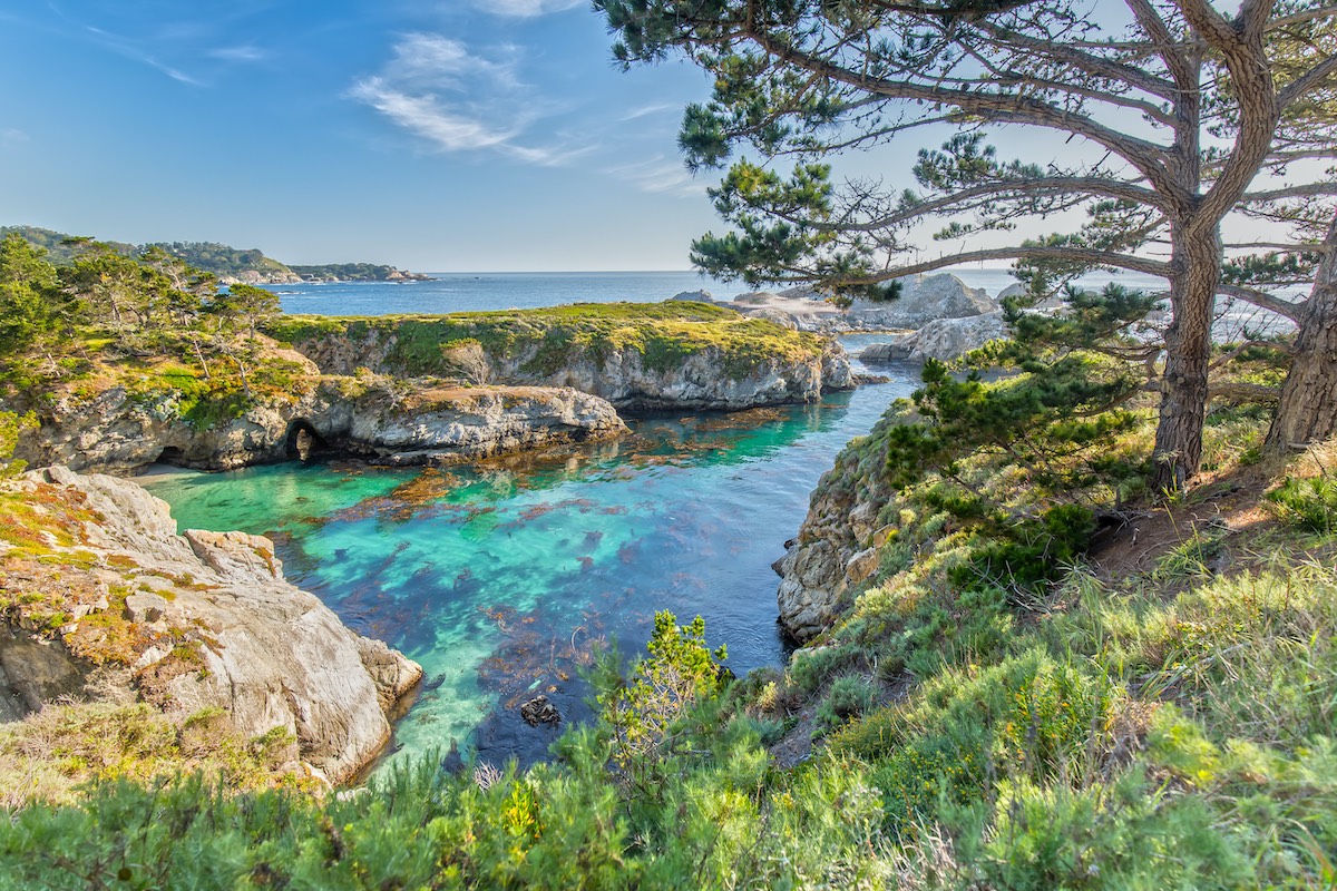 Point Lobos State Reserve at Highway 1 in California