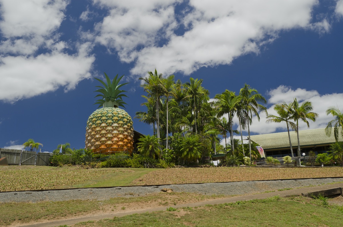 Big Pineapple near Nambour Sunshine Coast Queensland