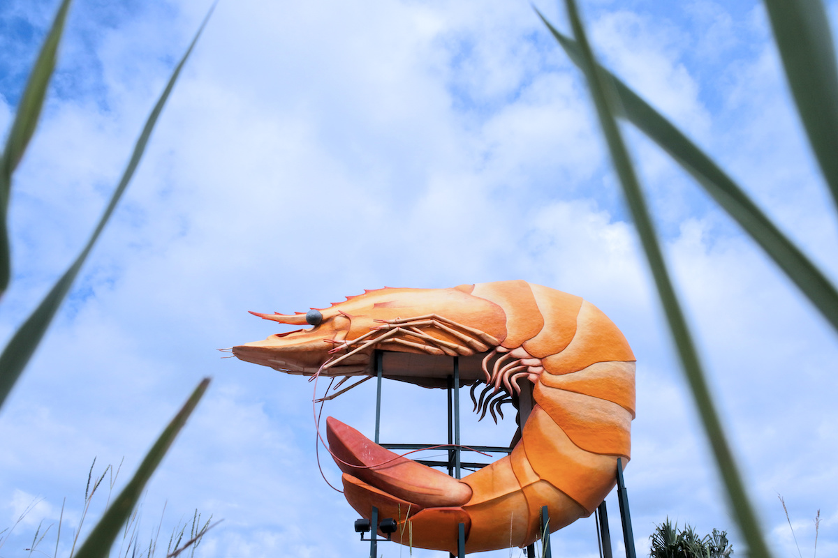 The Big Prawn, Ballina, New South Wales, Australia