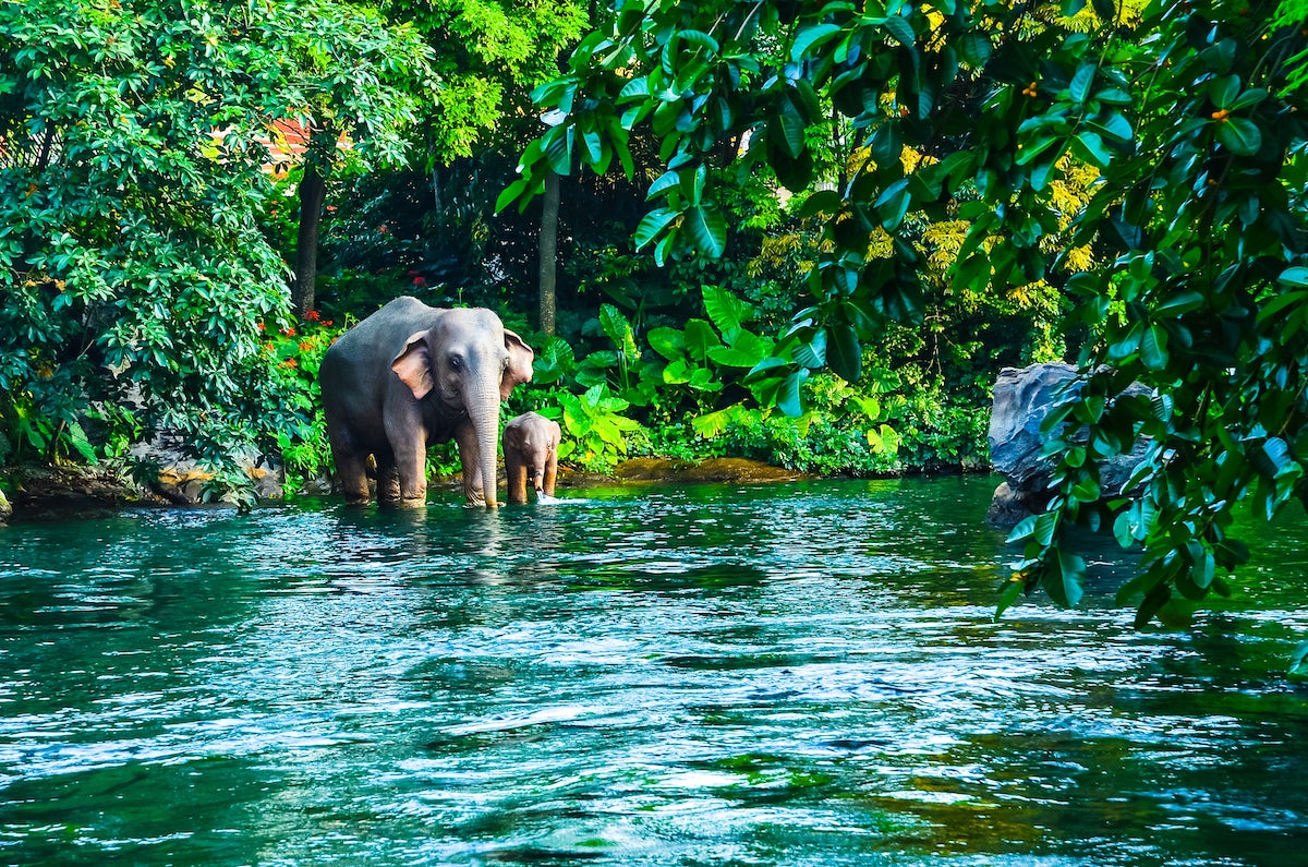 Khao Yai National Park