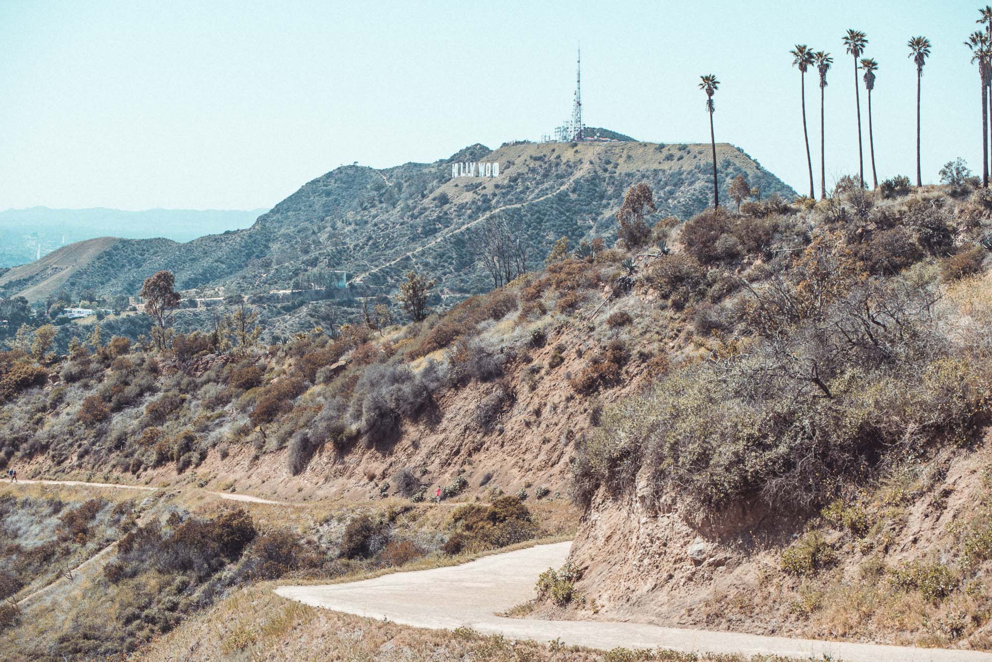 The Hollywood Sign