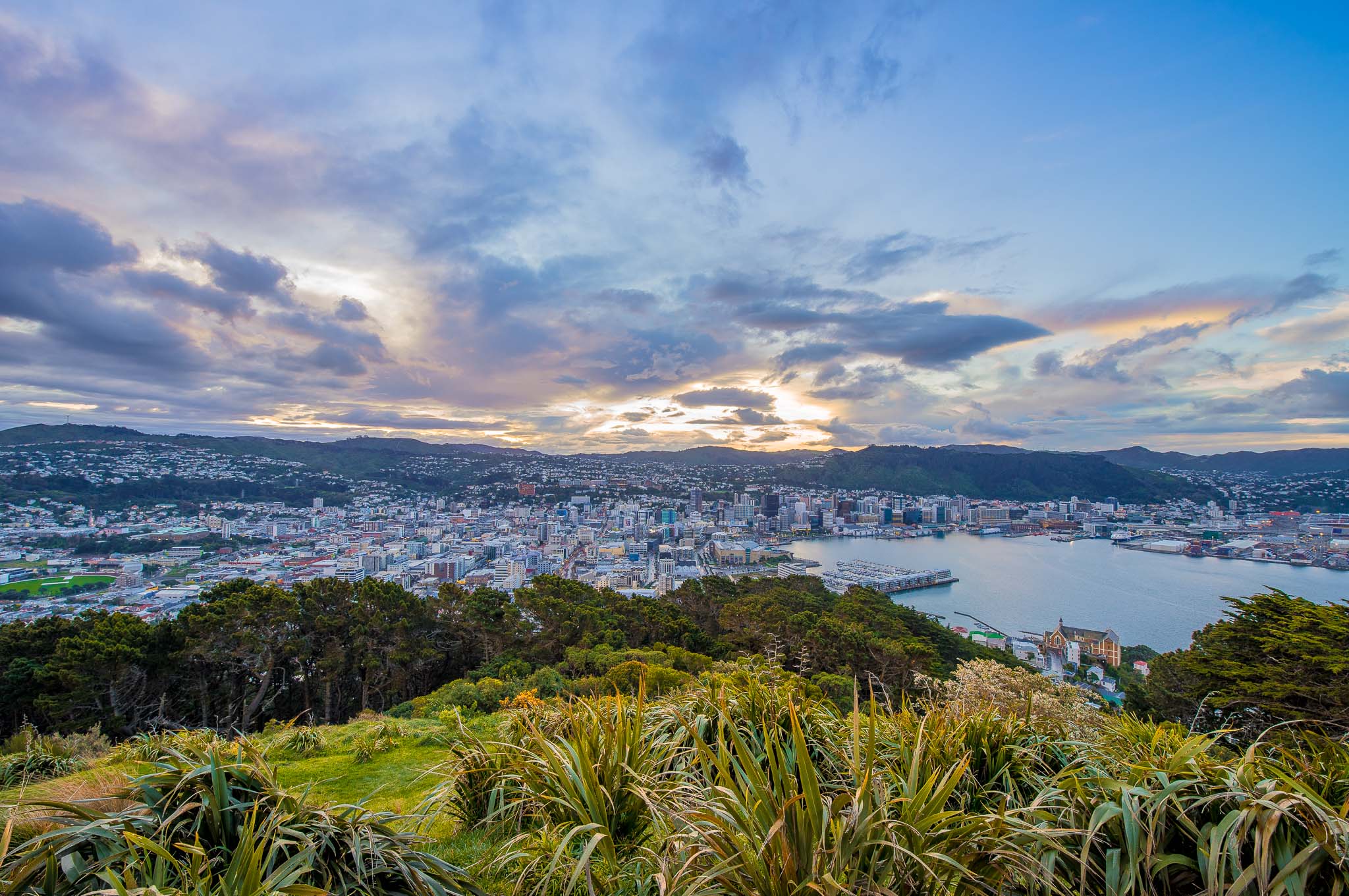 Wellington New Zealand