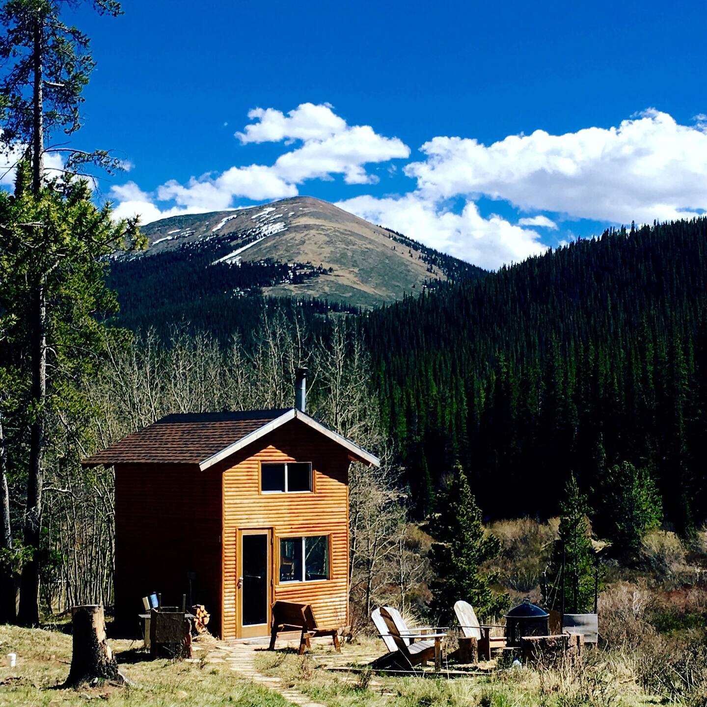 Tiny Cabin Glamping! Big Mountains Colorado Airbnb