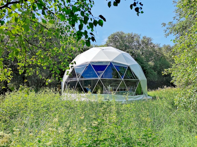 Forest Dome at Teapot Lane Glamping Ireland
