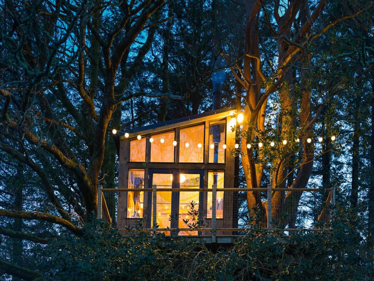 The Birdbox, Donegal Treehouse Glamping