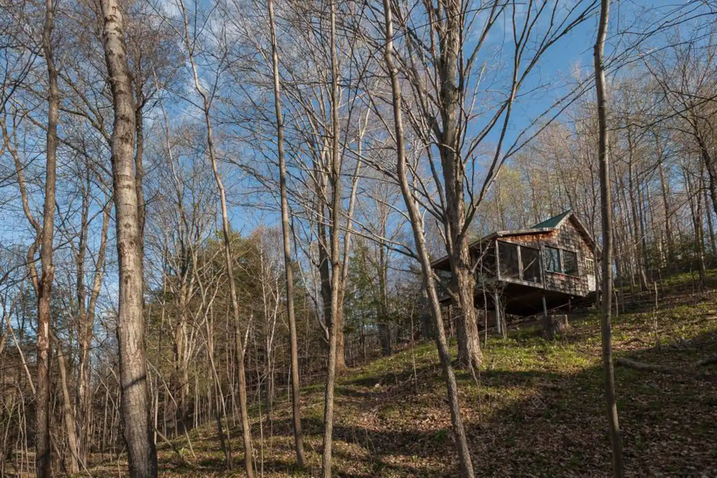 Deluxe Tree House 1 Hour from Toronto