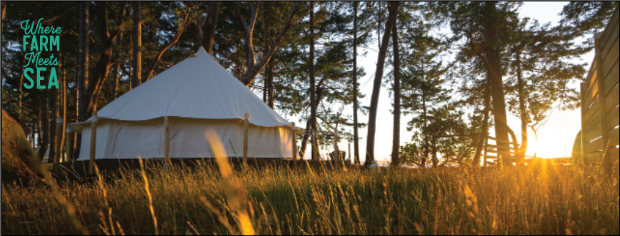 Fossil Beach Farm Glamping