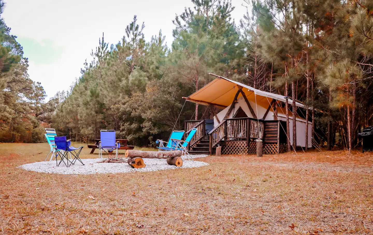 LIL BEAR Glamping TENT at LAUREL OAKS ESTATE