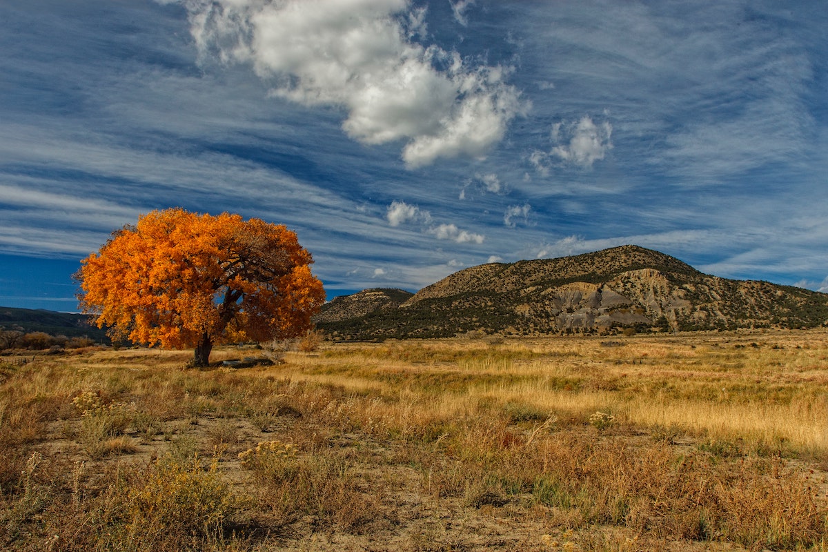 Taos New Mexico