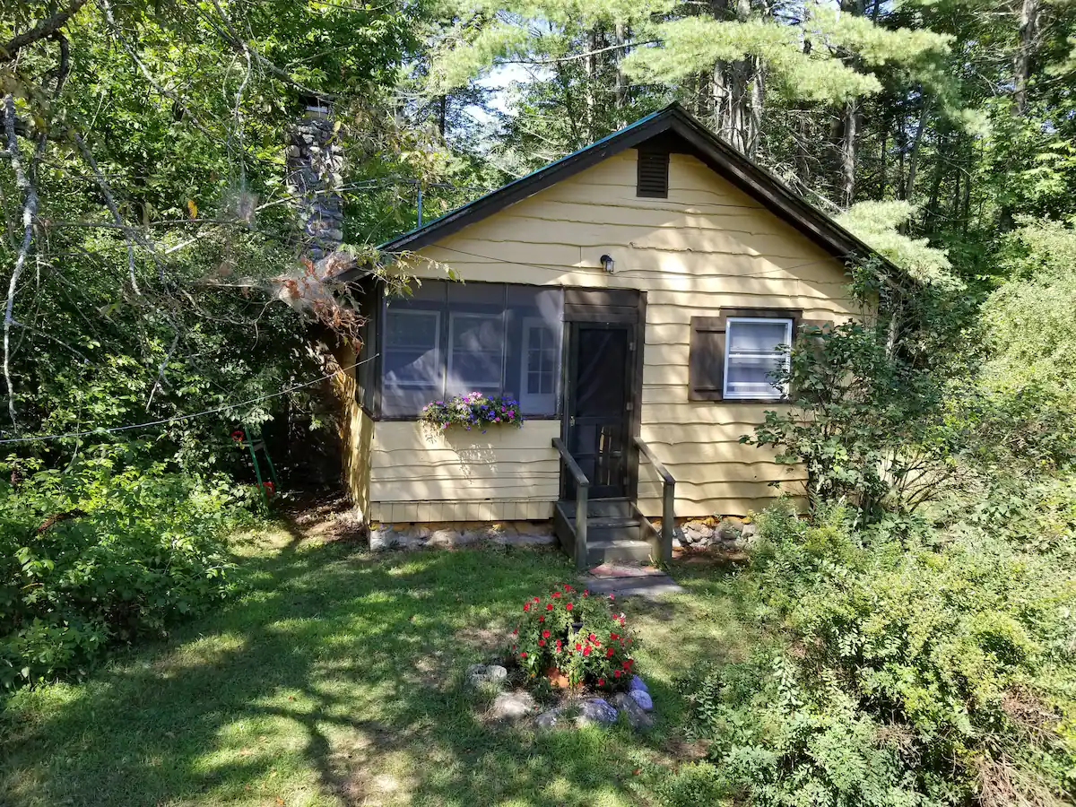Butternut Adirondack Cabin in the woods