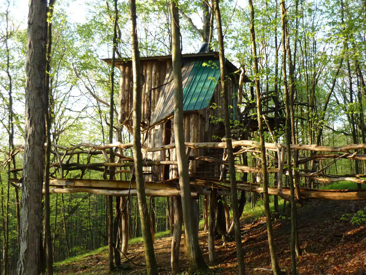 The Hermit Thrush Treehouse Glamping New England