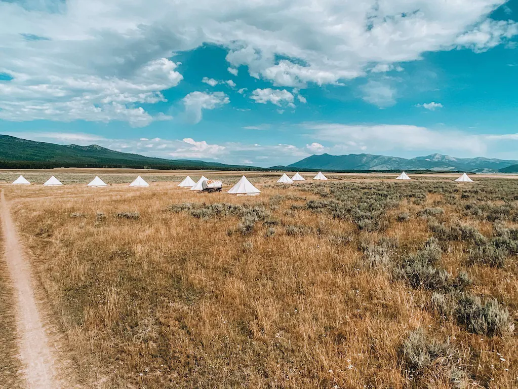 Range of tents in a field
