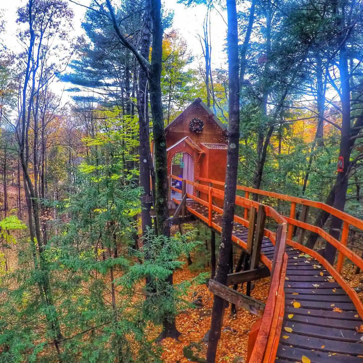 A walkway leads to a treehouse