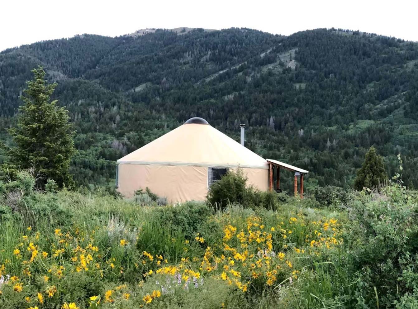 Yurt in field