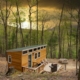 Tiny House Glamping in West Virginia