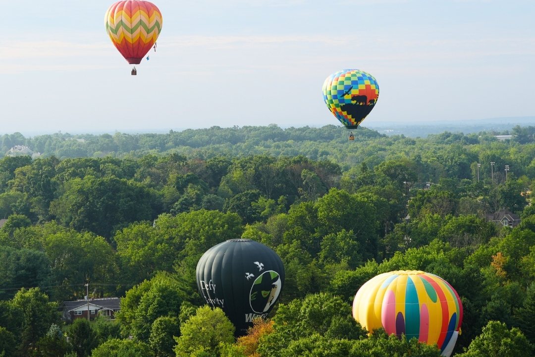 Hot air balloons at the New Jersey Lottery Festival of Ballooning