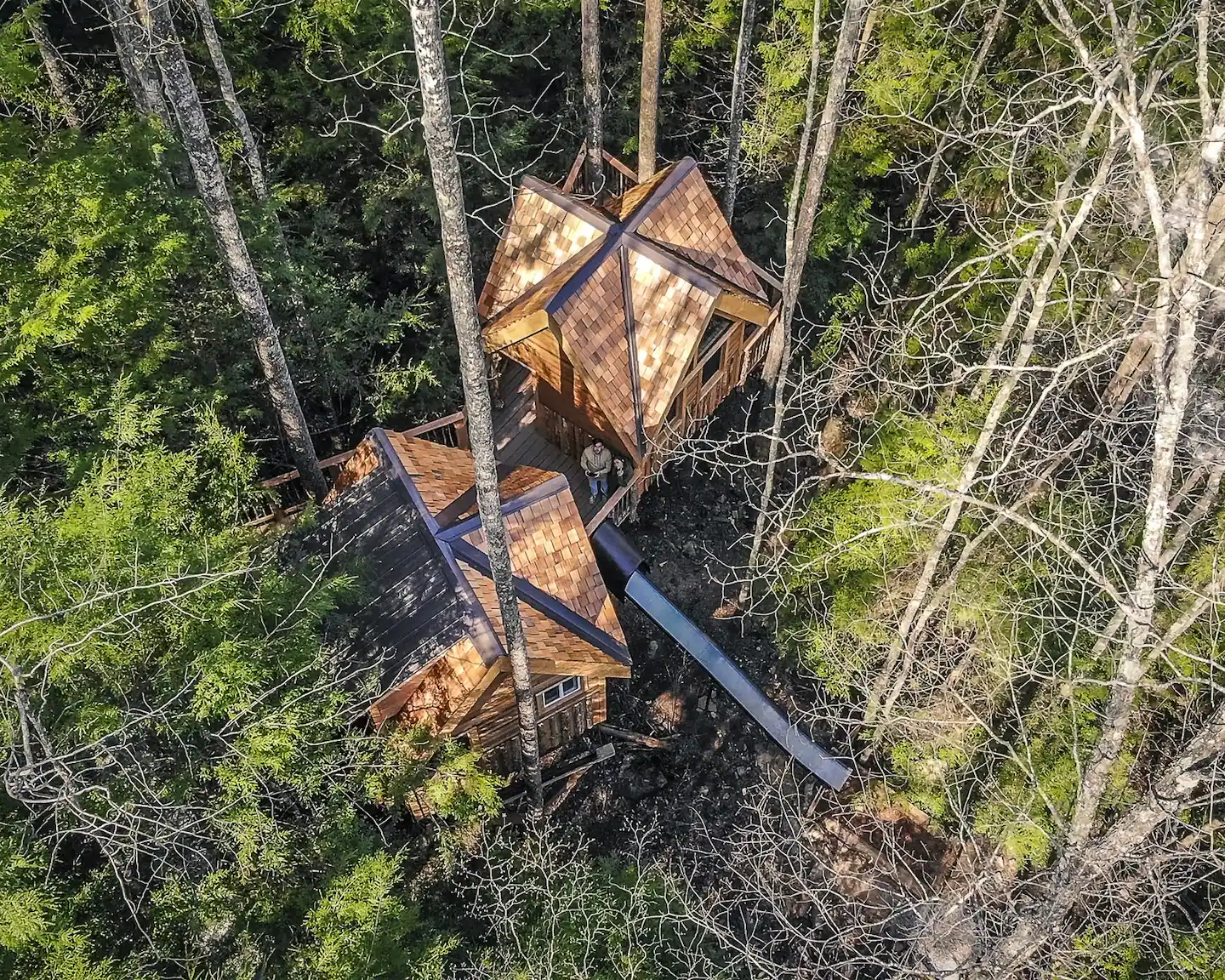 Treehouse aerial view