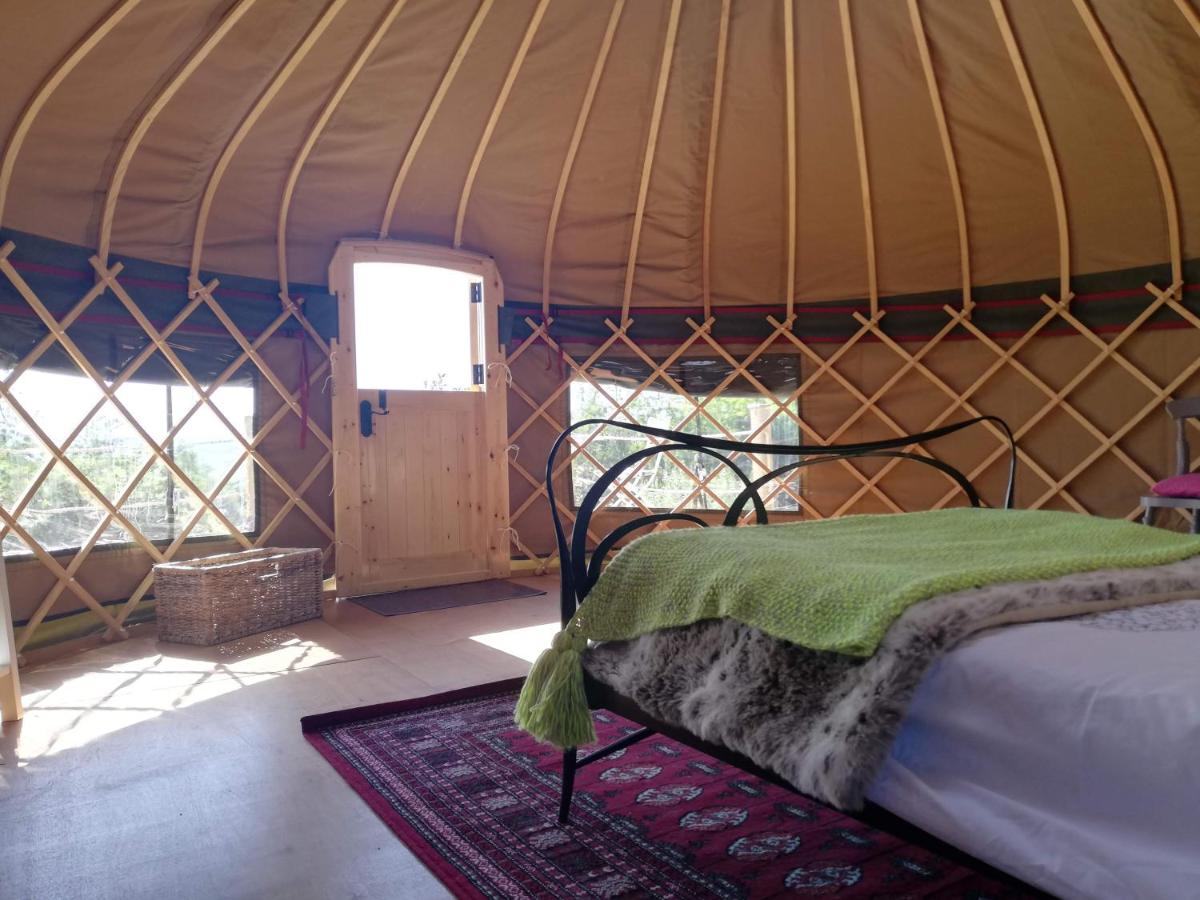 Looe Yurt Cornwall GlampingLooe Yurt Cornwall Glamping