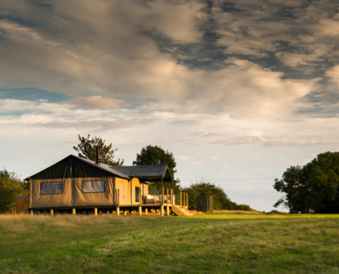 The Nest Glamping - England UK