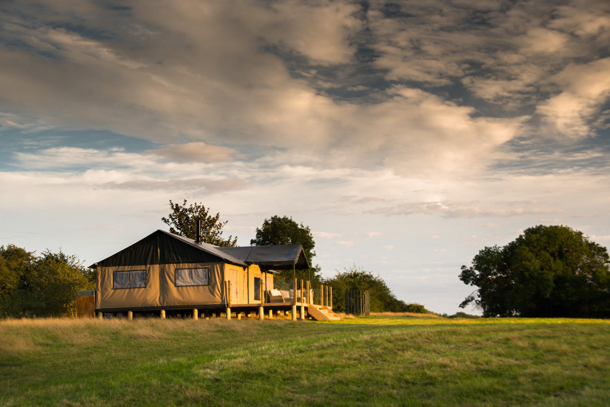 The Nest Glamping - England UK