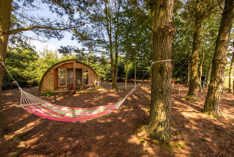 Wildwood Hideaway Glamping Pod