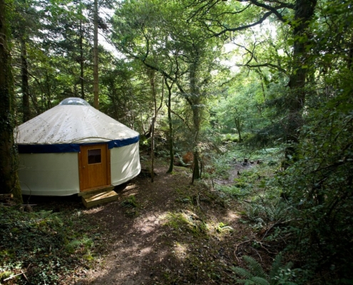 Yurtcamp Devon Glamping Yurt