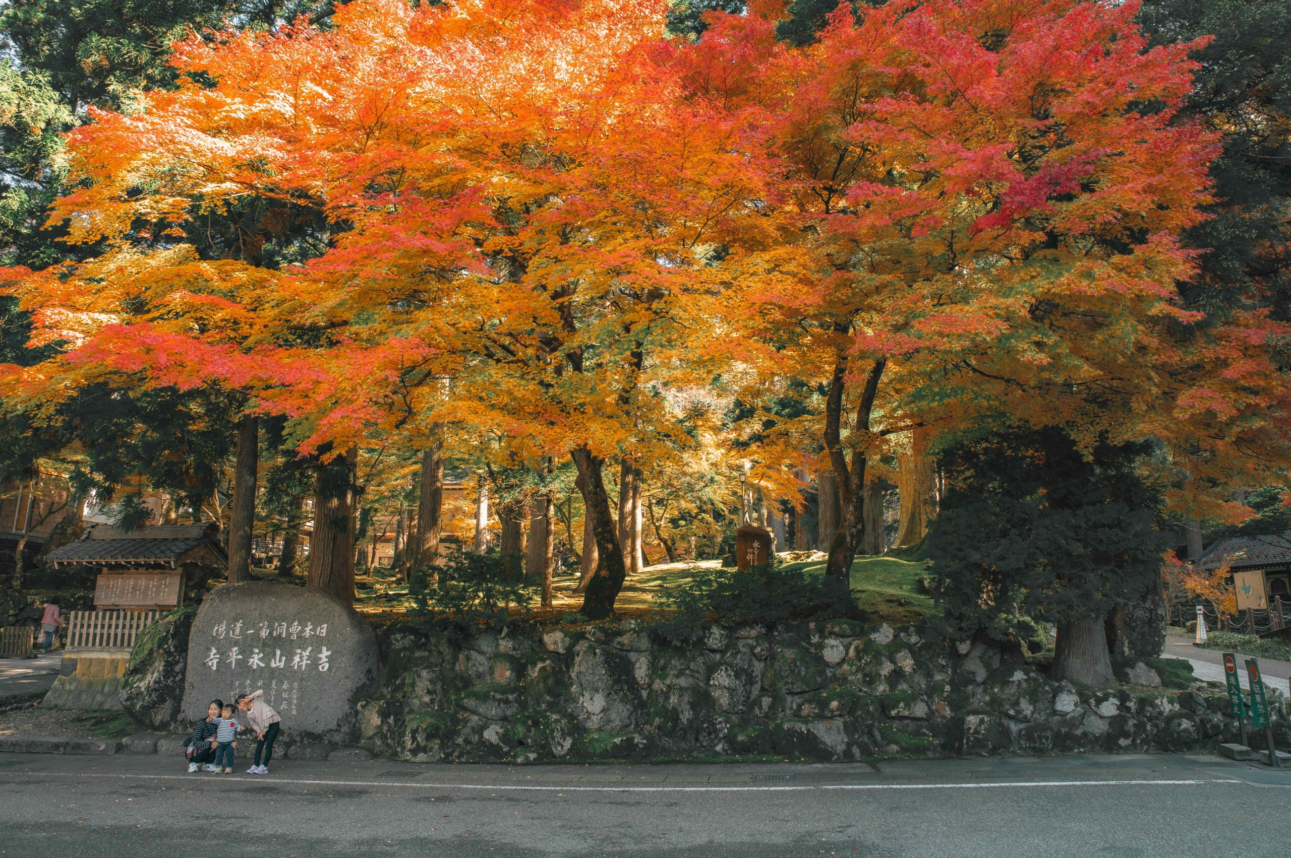 Eiheiji Temple - Fukui Prefecture