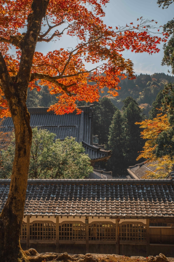 Eiheiji Temple - Fukui PrefectureEiheiji Temple - Fukui Prefecture