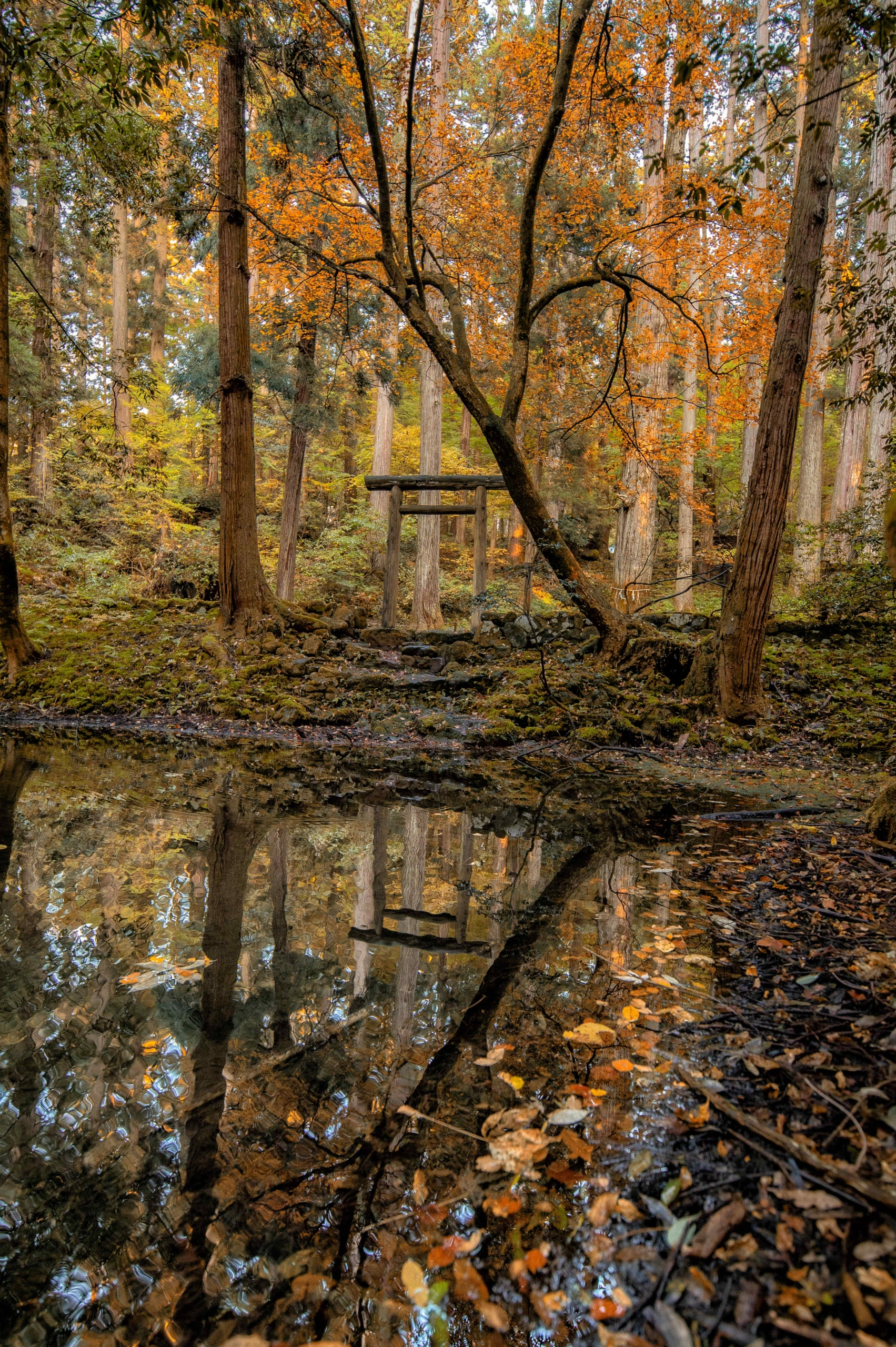 The Heisenji Hakusan Jinja Shrine - Fukui Prefecture